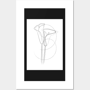 Calla Lily Line Drawing Posters and Art